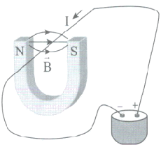 Direction of magnetic force on a wire inside B